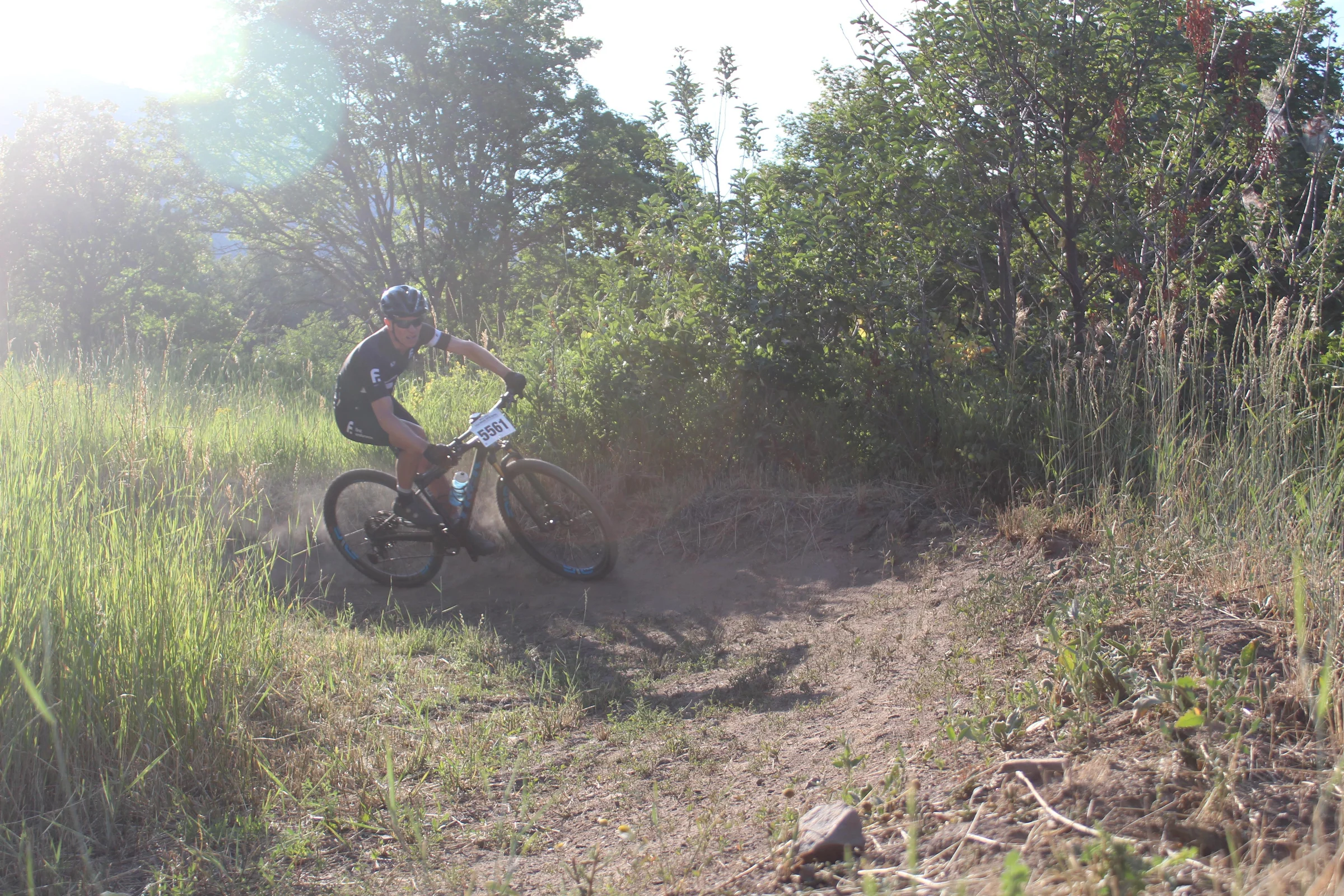 Mountain biker riding through a sunlit clearing beside trees